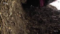 Боевики обстреляли журналистов минами 82-го калибра под Мариуполем (видео)