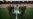 Bigger Than Dominoes: Abkhazia Pins Hopes On Soccer Cup For Outsiders