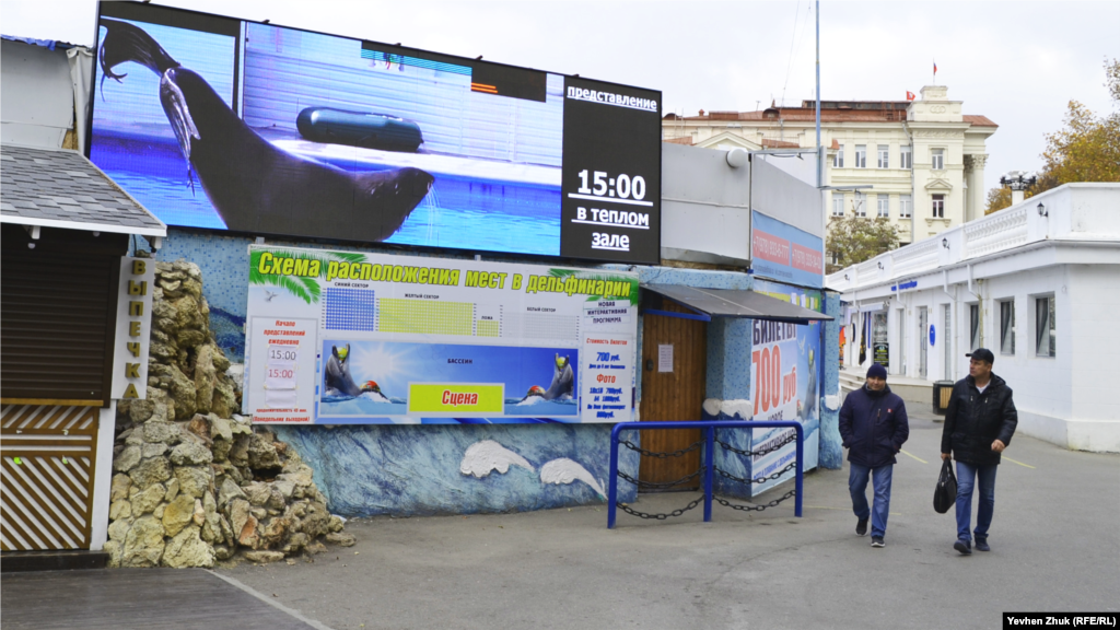 Незважаючи на пандемію коронавірусу, в севастопольському дельфінарії проходять вистави