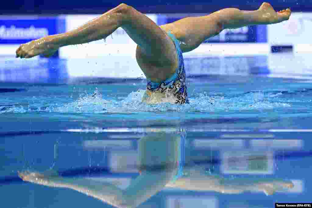 Чемпионат Европы по водным видам спорта в Будапеште