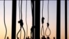  عفو بین الملل: ده‌ها مجرم زیر ۱۸ سال در ایران منتظر اعدام هستند