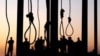 Her execution comes as concern grows over the number of people executed this year by Iran, where hundreds of people have been hanged mainly on drug and murder charges, including more than a dozen women. (file photo)