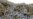 Muslims Begin Hajj Ascent