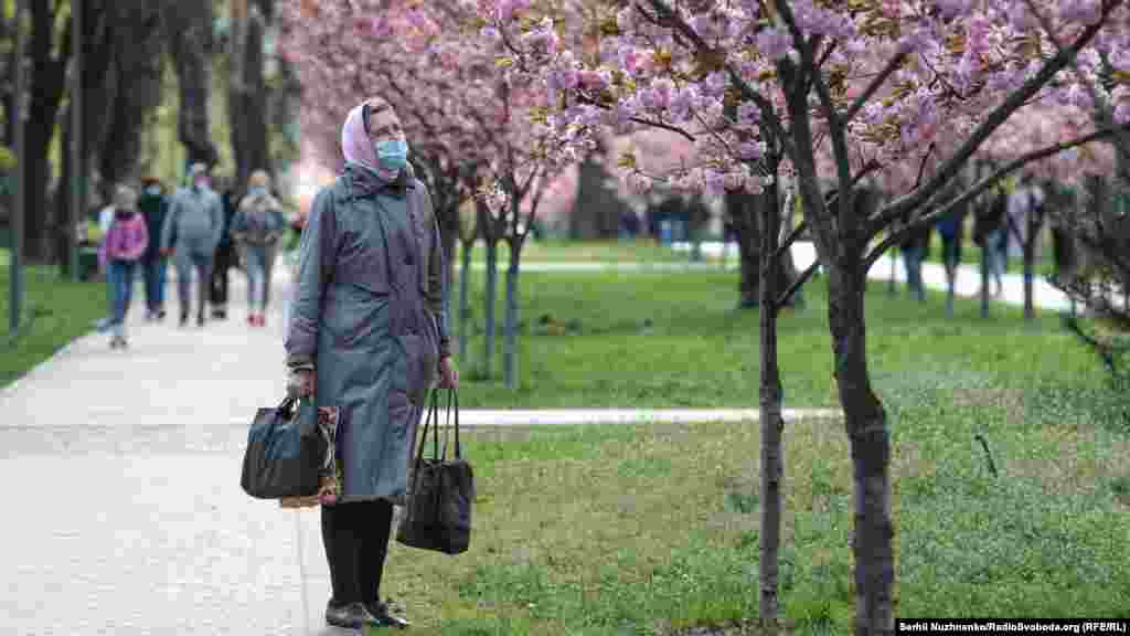 Літня жінка зупинилася подивитися на квіт сакури у київському парку &laquo;Кіото&raquo; поблизу станцій метро &laquo;Лісова&raquo; та &laquo;Чернігівська&raquo;. У 2012 році алею внесли в Книгу рекордів України. Її довжина становить понад 987 метрів. Київ, 27 квітня 2020 року ФОТОГАЛЕРЕЯ:&nbsp;У Києві зацвіла алея сакур &ndash; фоторепортаж із парку Кіото