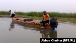 في أهوار الجبايش بمحافظة ذي قار