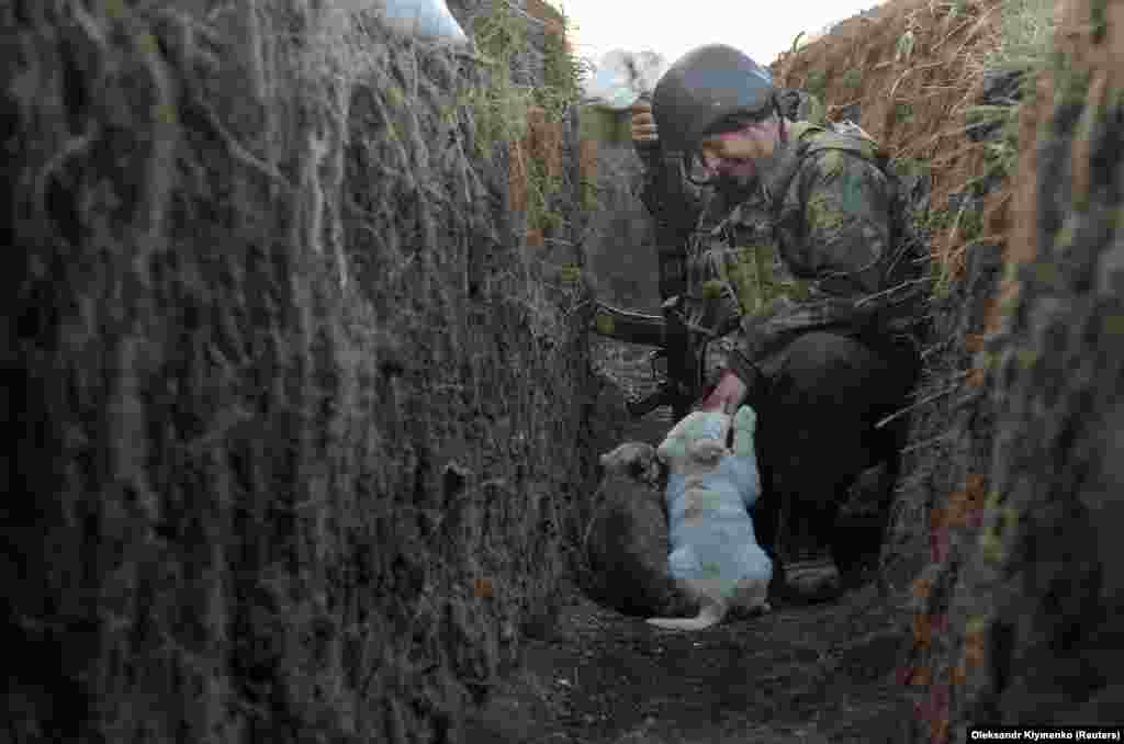 Украинский военнослужащий Владимир играет со щенками на линии разграничения в Донецкой области, Украина, 10 апреля 2021 года