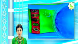 Türkmenistan: Döwlet telekanallaryna tomaşa etmek mümkinçiligi çäklendi