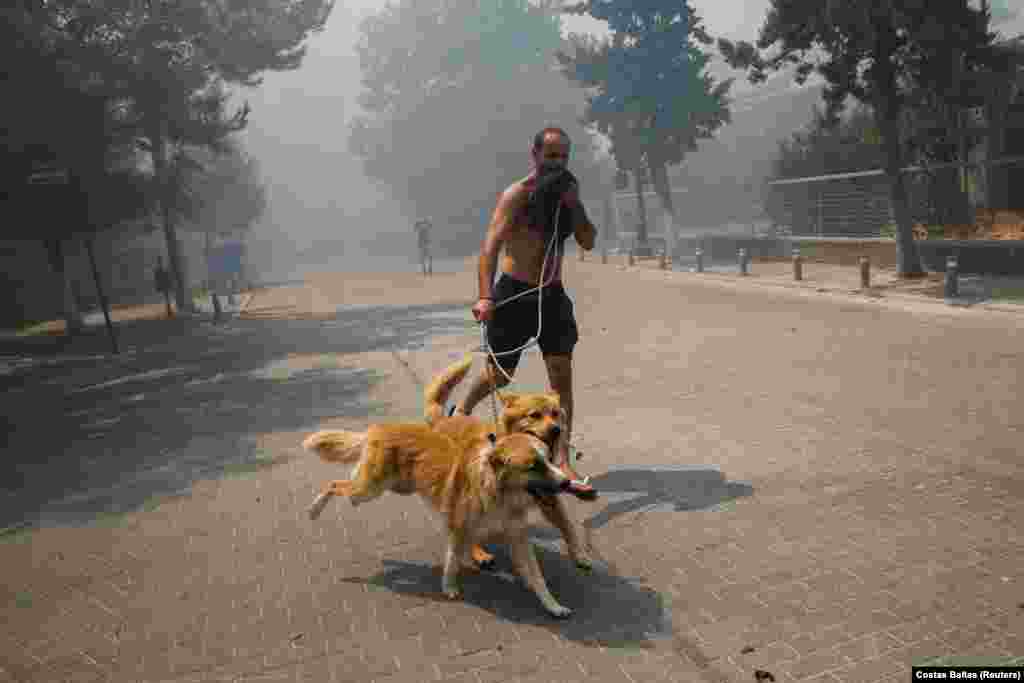 Një burrë, me qentë e tij, duke vrapuar, teksa një zjarr i egër përhapej në fshatin Krioneri, në veri të Athinës, në Greqi. (6 gusht)