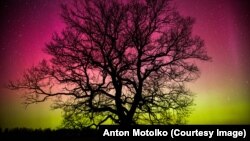 A Belarusian court expert said Anton Motolko's pictures of the Northern Lights near Minsk did not have "any signs of creative freshness, originality, uniqueness, or exceptionality."