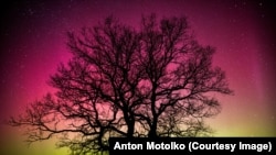 Фотографія північного сяйва поблизу Білорусі Антона Мотолька