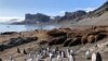 Каранавірус дабраўся да Антарктыды