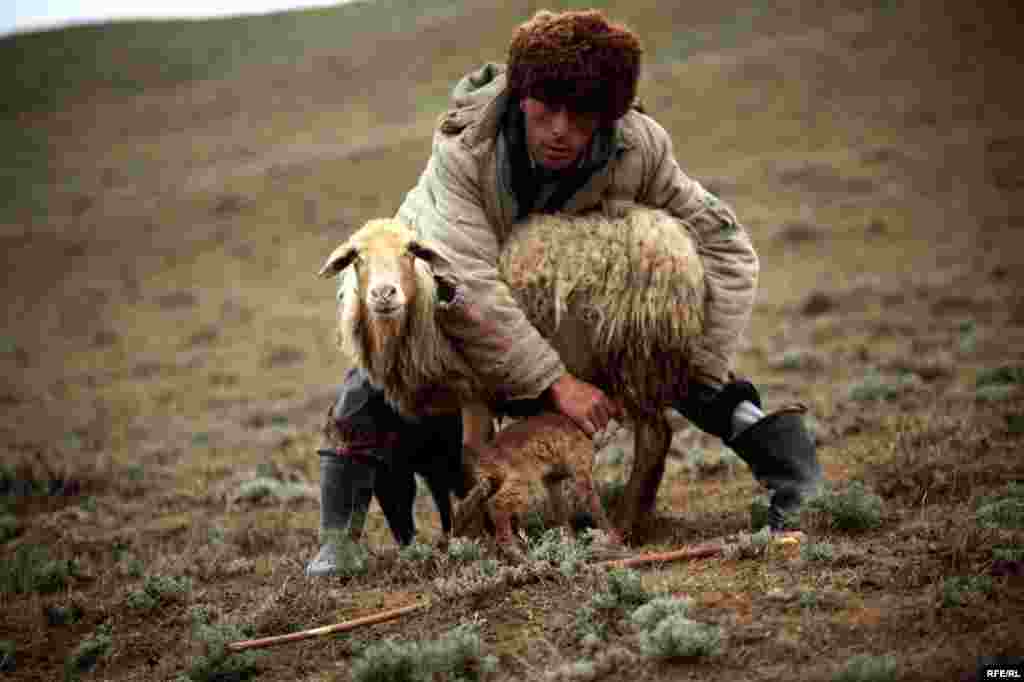 A Spring Passage Through The Caucasus #6