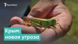 Крым. Дефицит воды и новая угроза | Крым за неделю с Александром Янковским