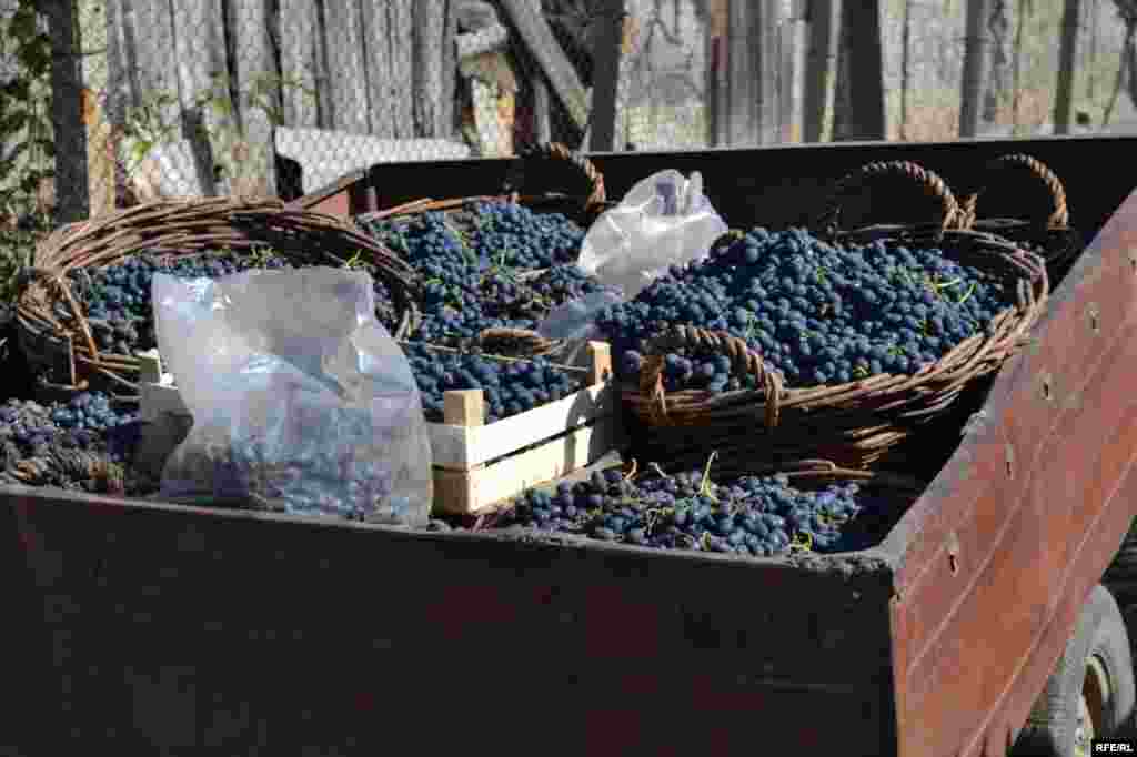 Prețuri mici, probleme mari #21