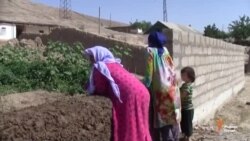 Ахбори Озодӣ аз 29-уми июни соли 2018