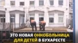 «Пощечина правительству»