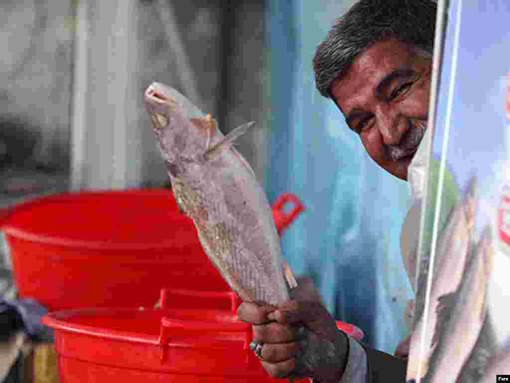 یک فروشنده ماهی در تهران. عکس از ایسنا