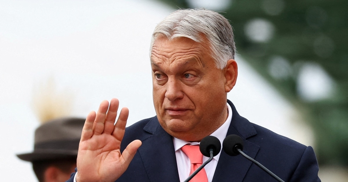ვიქტორ ორბანი: "უკრაინის დაცემა უნგრეთისთვის სერიოზული პრობლემა იქნებოდა"