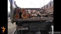 Ծառահատում՝ կանաչապատման եւ բարեկարգման անվան տակ