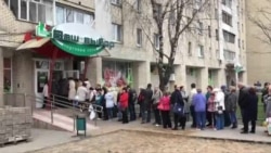 Паўсотні чалавек у чарзе за канфіскаванымі шампіньёнамі