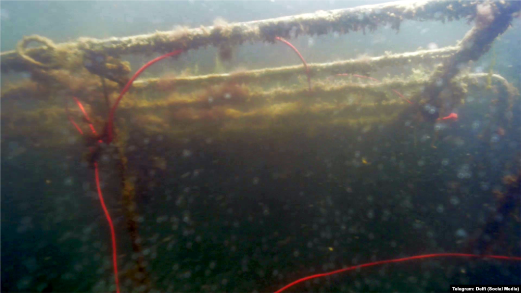 Видимість під водою в Чорному морі влітку дуже погана &ndash; це кадри з камери робота&nbsp;