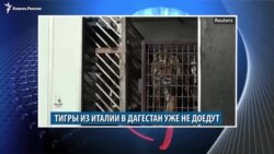 Видеоновости Кавказа 31 октября