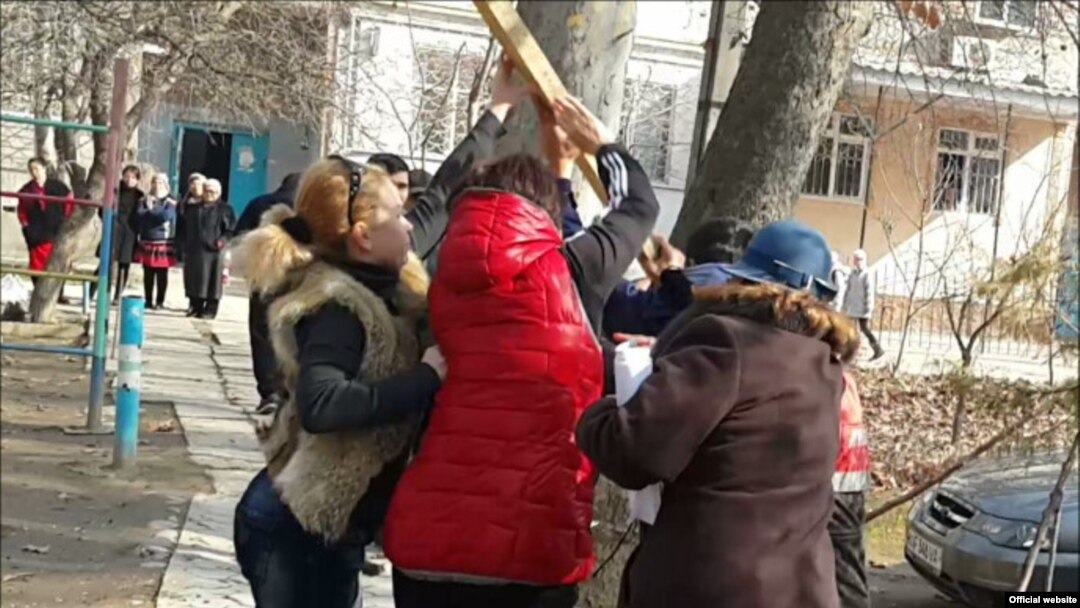 Тошкентда чинор кесилиши