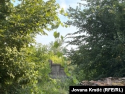 "Ekosistemi koji tu žive, kada se naruše, oni više nikad neće moći da se uspostave kada izlijete beton tu", upozorava Ana Ferik-Ivanovič.