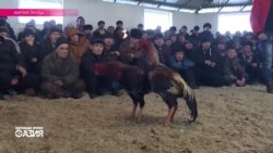 Настоящее Время. Азия - эфир 8 января