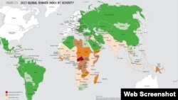 کشورهای به رنگ سبز پُر رنگ که ایران در این بخش است با خطر کم گرسنگی ارزیابی شده اند 