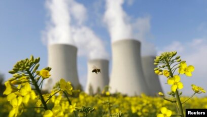 Қыздар бір жігітті қағып алады