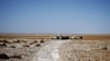 FILE: An Iranian shepherd walks his herd in the middle of Hamoon wetland near the Zabol town, in southeastern province of Sistan and Baluchistan bordering Afghanistan.