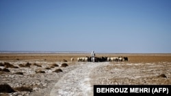 FILE: An Iranian shepherd walks his herd in the middle of Hamoon wetland near the Zabol town, in southeastern province of Sistan and Baluchistan bordering Afghanistan.