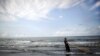 An Iranian fisherman pulls in his almost empty net after an unsuccessful fishing trip in the Caspian Sea in Koshk Estalkh village near the northern port city of Bandar-e Anzali on November 1, 2013. An environmental expert in Iran, told Isna news agency on