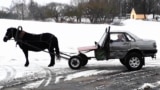 Belarusian Horsepower: Ingenuity And Half An Audi