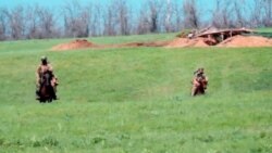 Caii – noua armă a Rusiei în războiul din Ucraina