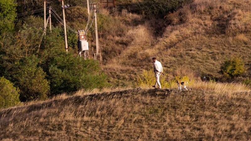 Мужчина с собакой спускается с холма близ села Петропавловка | Крымское фото дня