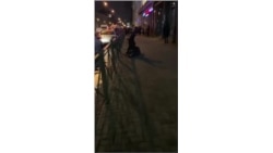 Избиение протестующих в Петербурге