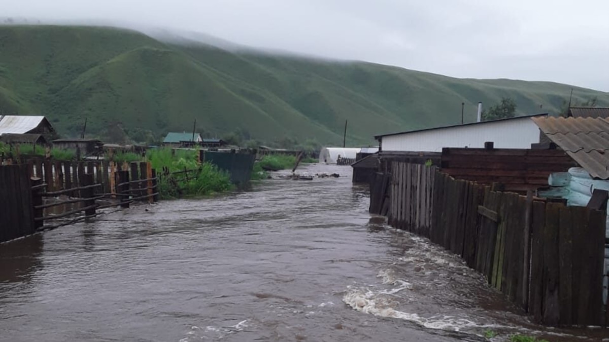 Кто такие гураны в забайкалье фото