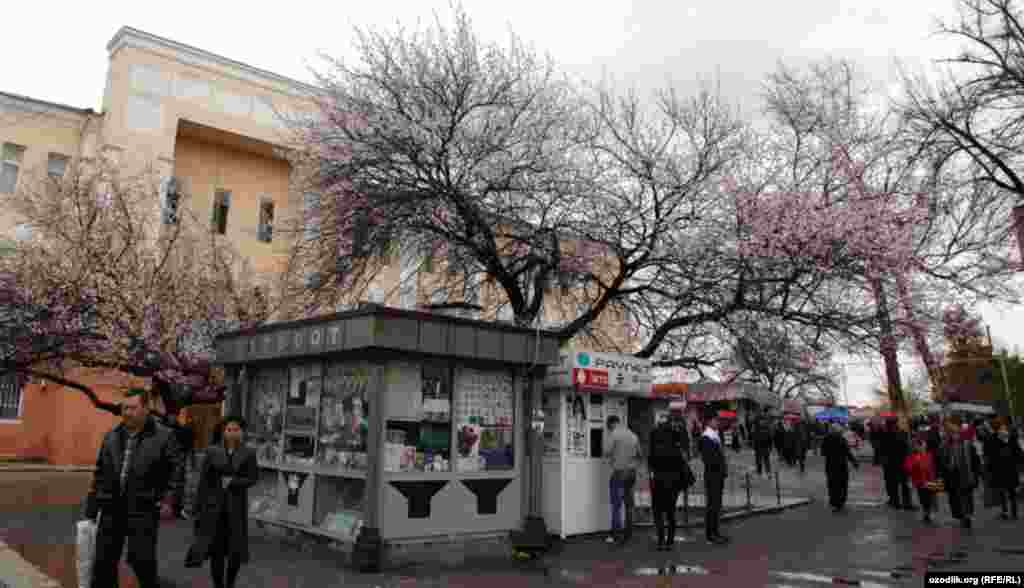 Uzbekistan - spring in Tashkent