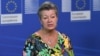 Ільва Йоганссон планує більш детально окреслити характер додаткової підтримки ЄС у переговорах із литовськими політиками