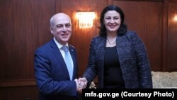 დავით ზალკალიანი და ივანა კლიმპუშ-ცინცაძე