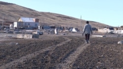 Житель села Верхние Кайракты возвращается домой после отгона скота. Карагандинская область, 22 октября 2019 года.