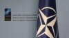 „Toţi cei care se îngrijorează de statutul de neutralitate să ia exemplu de la NATO!” (VIDEO)