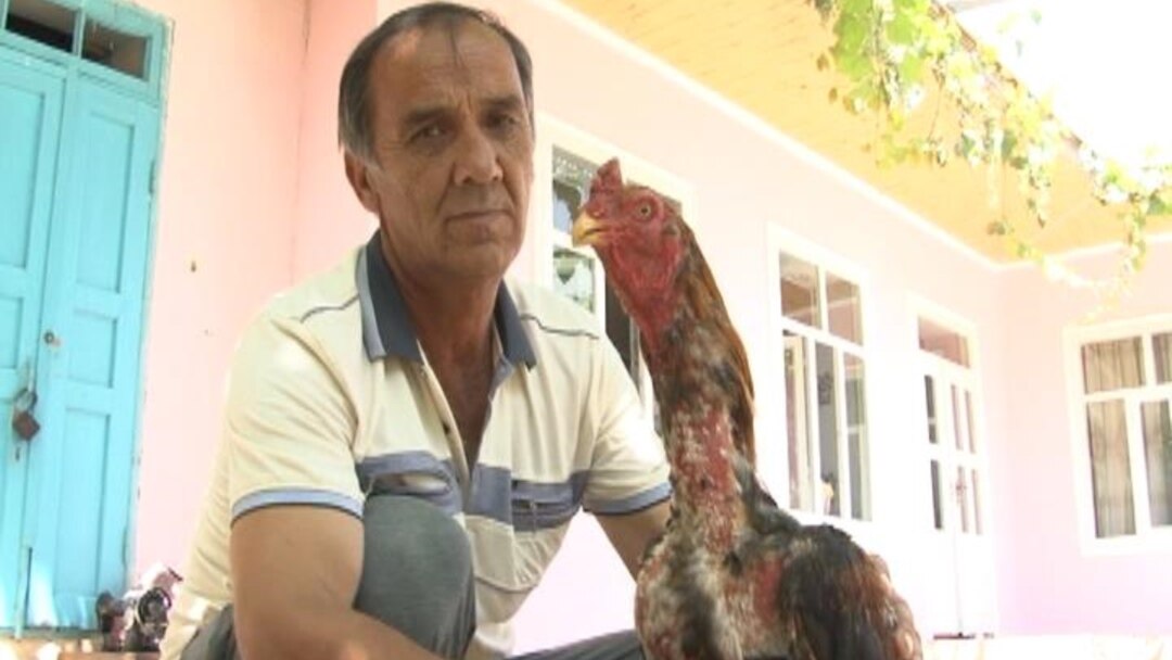 Uchovimiz videoni ko‘ndirdik