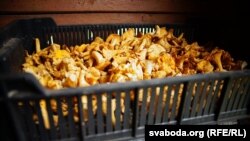 Ілюстрацыйнае фота