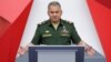 Shoigu Warns Of 'Serious Consequences' If U.S. Quits Nuclear Pact