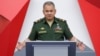 Shoigu Warns Of 'Serious Consequences' If U.S. Quits Nuclear Pact