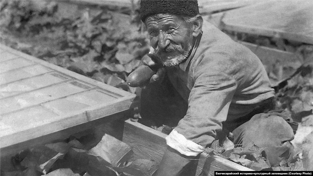 Заради климата градинарството в Крим никога не достига търговски мащаби, но зеленчуците се отглеждат за лична консумация. В кримскотатарската кухня салатите със зеле, краставици и моркови са стандартна храна. Има и по-сложни ястия като зелеви рулца или агнешка супа, известна като лагман.