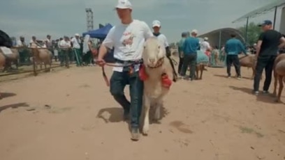 Олар мені қағып, ұрып тастады